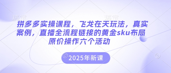 拼多多实操课程，飞龙在天玩法，真实案例，直播全流程链接的黄金sku布局原价操作六个活动-轻创资源网