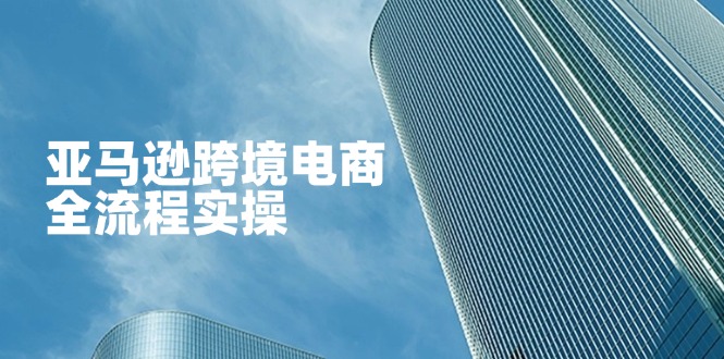 （14252期）亚马逊跨境电商全流程实操，教你从零开始，掌握店铺运营与广告技巧-轻创资源网