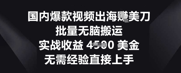 国内爆款视频出海挣美刀，批量无脑搬运，实战收益4.5k，无需经验直接上手-轻创资源网