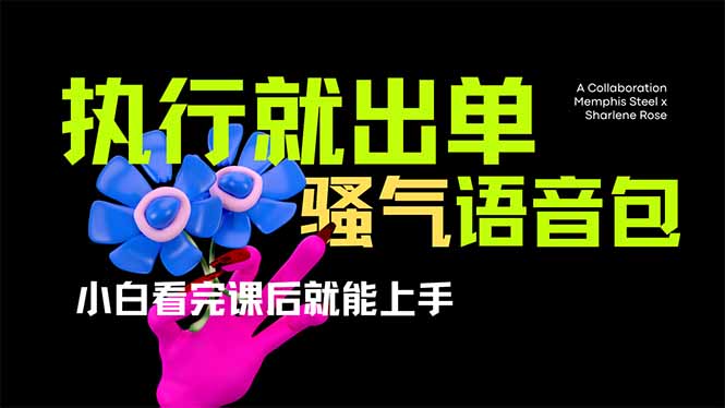 （14170期）爆火全网的开车导航骚气语音包,只要执行就出单，小白看完课程就能实操...-轻创资源网